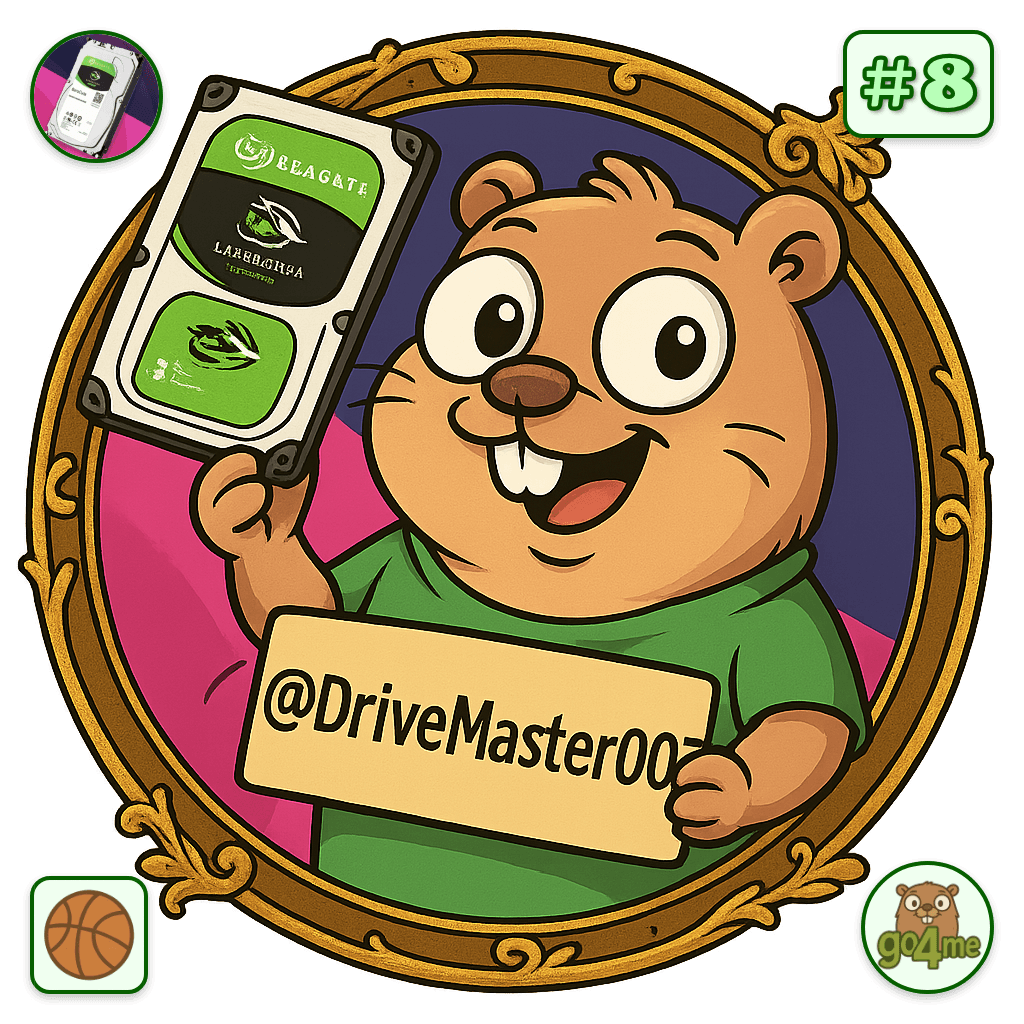 DriveMaster007 avatar